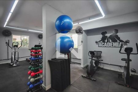 Apartamento para alugar com 55m², 2 quartos e 1 vaga Apartamento para alugar com 55m², 2 quartos e 1 vagaÁrea comum - Academia