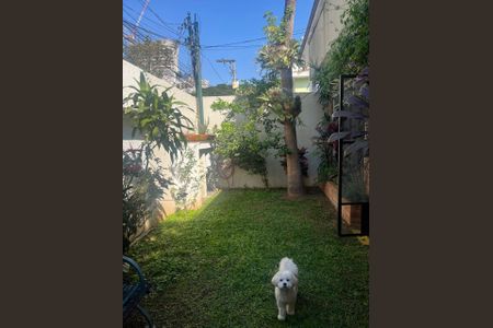 Casa à venda com 210m², 4 quartos e 3 vagas Casa à venda com 210m², 4 quartos e 3 vagasFoto 36