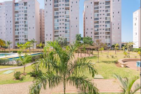 Apartamento para alugar com 76m², 3 quartos e 2 vagas Apartamento para alugar com 76m², 3 quartos e 2 vagasVista do Quarto 1