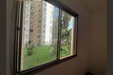 Sala de apartamento para alugar com 2 quartos, 57m² em Vila Emir, São Paulo