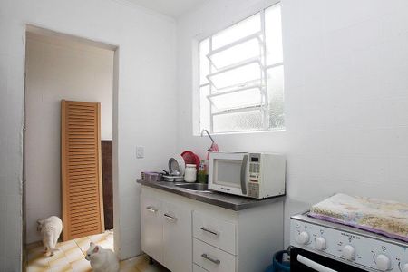 Cozinha de apartamento para alugar com 1 quarto, 44m² em Jardim Botânico, Porto Alegre