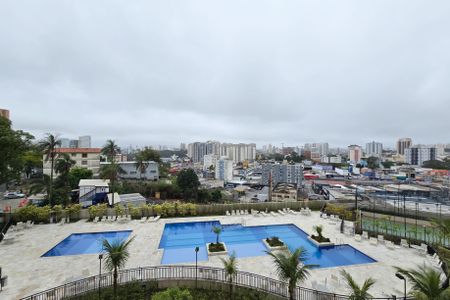 Apartamento à venda com 54m², 2 quartos e 1 vaga Apartamento à venda com 54m², 2 quartos e 1 vagaVista - Sacada
