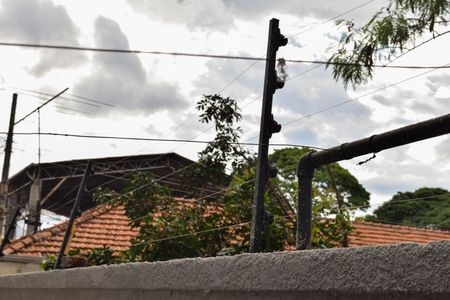 Casa à venda com 260m², 3 quartos e 3 vagasÁrea externa