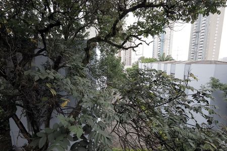 Apartamento para alugar com 77m², 2 quartos e 2 vagas Apartamento para alugar com 77m², 2 quartos e 2 vagasVista do Quarto 2