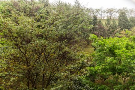 Apartamento à venda com 94m², 2 quartos e 2 vagas Apartamento à venda com 94m², 2 quartos e 2 vagasVista