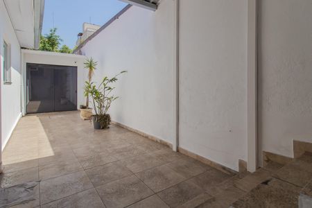 Casa para alugar com 300m², 8 quartos e 3 vagas Casa para alugar com 300m², 8 quartos e 3 vagasQuintal