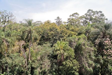 Apartamento à venda com 72m², 3 quartos e 1 vaga Apartamento à venda com 72m², 3 quartos e 1 vagaVista Quarto 3