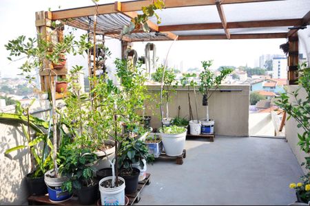 Casa de condomínio à venda com 231m², 4 quartos e 1 vaga Casa de condomínio à venda com 231m², 4 quartos e 1 vagaQuintal