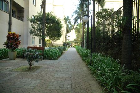 Apartamento para alugar com 67m², 2 quartos e 2 vagasÁrea comum