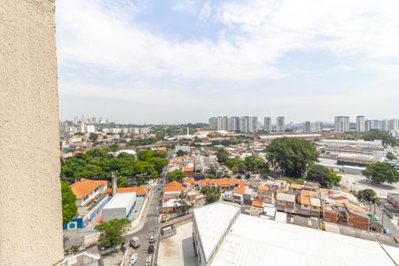 Apartamento para alugar com 36m², 2 quartos e sem vaga Apartamento para alugar com 36m², 2 quartos e sem vagaVista Quarto 1