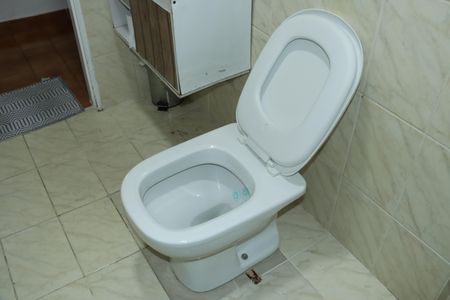 Banheiro Social de casa para alugar com 1 quarto, 27m² em Jardim Nova Cotia, Cotia
