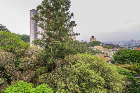 Vista da Sala de apartamento à venda com 3 quartos, 80m² em Jaguaré, São Paulo