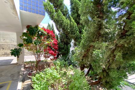 Apartamento à venda com 60m², 3 quartos e 1 vagaÁrea comum - Jardim