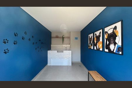 Apartamento para alugar com 35m², 2 quartos e sem vaga Apartamento para alugar com 35m², 2 quartos e sem vagaEspaço Pet