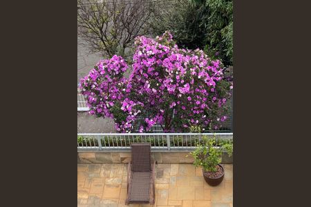 Apartamento à venda com 328m², 3 quartos e 3 vagas Apartamento à venda com 328m², 3 quartos e 3 vagasVista