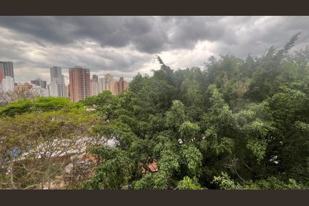 Sala/Quarto vista  de apartamento para alugar com 1 quarto, 28m² em Taquaral, Campinas