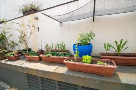 Apartamento à venda com 52m², 2 quartos e 1 vaga Apartamento à venda com 52m², 2 quartos e 1 vagaÁrea comum