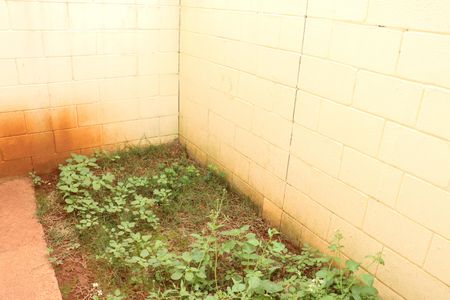 Casa de condomínio para alugar com 80m², 2 quartos e 1 vagaÁrea Externa