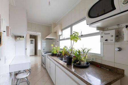 Apartamento à venda com 116m², 3 quartos e 1 vagaCozinha