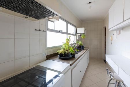 Apartamento à venda com 116m², 3 quartos e 1 vagaCozinha