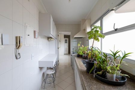 Apartamento à venda com 116m², 3 quartos e 1 vagaCozinha