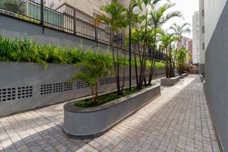 Apartamento para alugar com 101m², 3 quartos e 2 vagas Apartamento para alugar com 101m², 3 quartos e 2 vagasÁrea comum