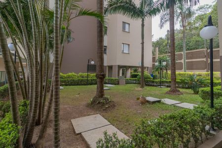 Apartamento para alugar com 65m², 3 quartos e 1 vagaJardim