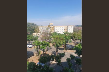 Apartamento à venda com 76m², 3 quartos e 2 vagas