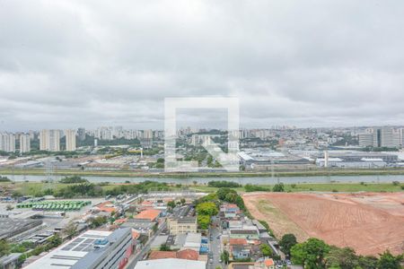 Vista do Quarto 1 de apartamento para alugar com 2 quartos, 32m² em Veleiros, São Paulo