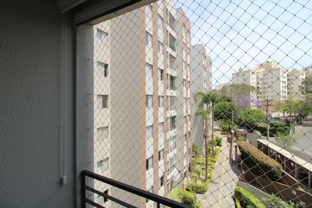 Varanda de apartamento para alugar com 2 quartos, 49m² em Vila Amélia, São Paulo