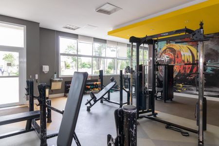 Apartamento à venda com 72m², 3 quartos e 2 vagasÁrea comum - Academia