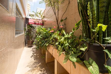 Casa à venda com 250m², 4 quartos e 2 vagasJardim