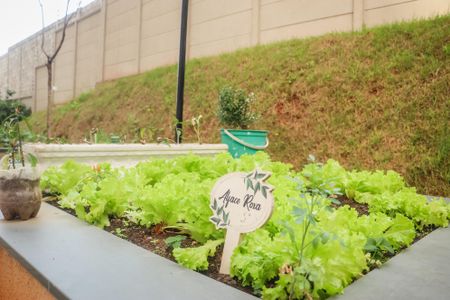 Apartamento para alugar com 46m², 2 quartos e 1 vagaÁrea comum 