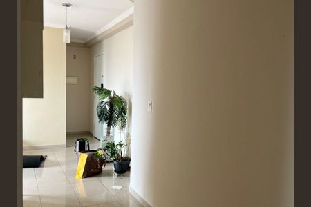 Sala de apartamento para alugar com 2 quartos, 62m² em Limão, São Paulo