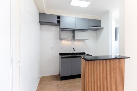 Apartamento para alugar com 44m², 2 quartos e 1 vaga Apartamento para alugar com 44m², 2 quartos e 1 vagaCozinha