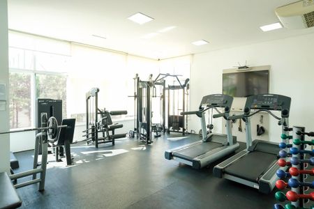 Apartamento à venda com 520m², 4 quartos e 5 vagasÁrea Comum - Academia