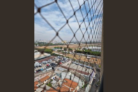 Apartamento à venda com 76m², 2 quartos e 2 vagas Apartamento à venda com 76m², 2 quartos e 2 vagasVista da Suíte