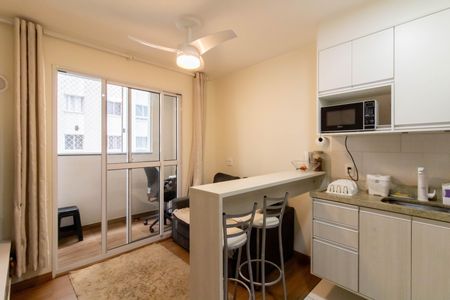 Sala de apartamento para alugar com 1 quarto, 27m² em Vila Flora, Guarulhos