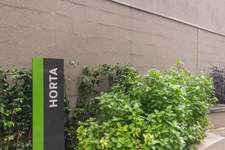 Apartamento para alugar com 28m², 1 quarto e sem vaga Apartamento para alugar com 28m², 1 quarto e sem vagaÁrea comum - Horta