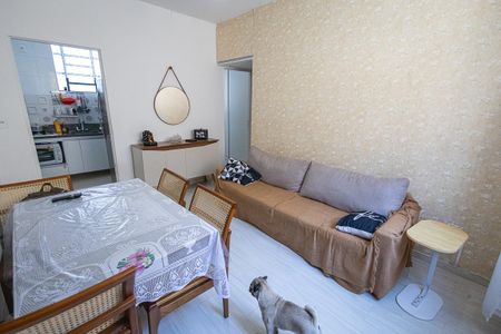 Sala de apartamento à venda com 2 quartos, 49m² em Itapoã, Belo Horizonte