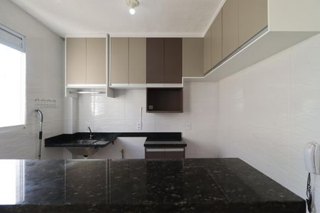 Cozinha de apartamento para alugar com 2 quartos, 42m² em Jd Reserva Real, Ribeirão Preto
