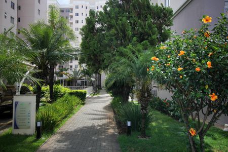 Apartamento à venda com 86m², 3 quartos e 1 vagaÁrea comum - Jardim