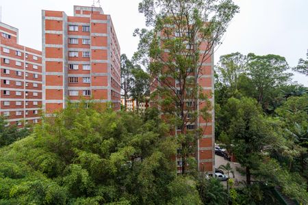 Vista da Sala de apartamento para alugar com 2 quartos, 47m² em Jardim Catanduva, São Paulo