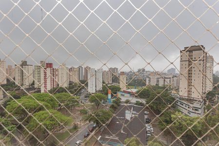 Vista Varanda de apartamento para alugar com 2 quartos, 53m² em Jardim Celeste, São Paulo