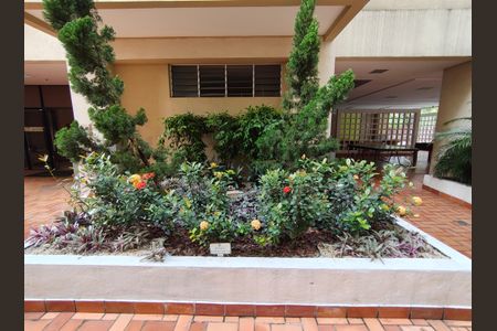 Apartamento à venda com 67m², 2 quartos e 1 vaga Apartamento à venda com 67m², 2 quartos e 1 vagaÁrea comum