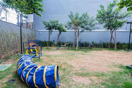 Apartamento para alugar com 37m², 2 quartos e sem vagaPet place