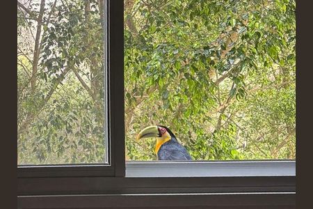 Apartamento à venda com 91m², 2 quartos e 2 vagas Apartamento à venda com 91m², 2 quartos e 2 vagasQuarto 1