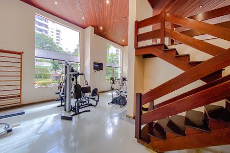 Apartamento para alugar com 400m², 4 quartos e 4 vagasÁrea comum - Academia