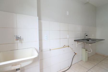 Cozinha de apartamento para alugar com 2 quartos, 51m² em Recanto das Palmeiras, Ribeirão Preto