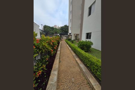 Apartamento à venda com 81m², 3 quartos e 2 vagas